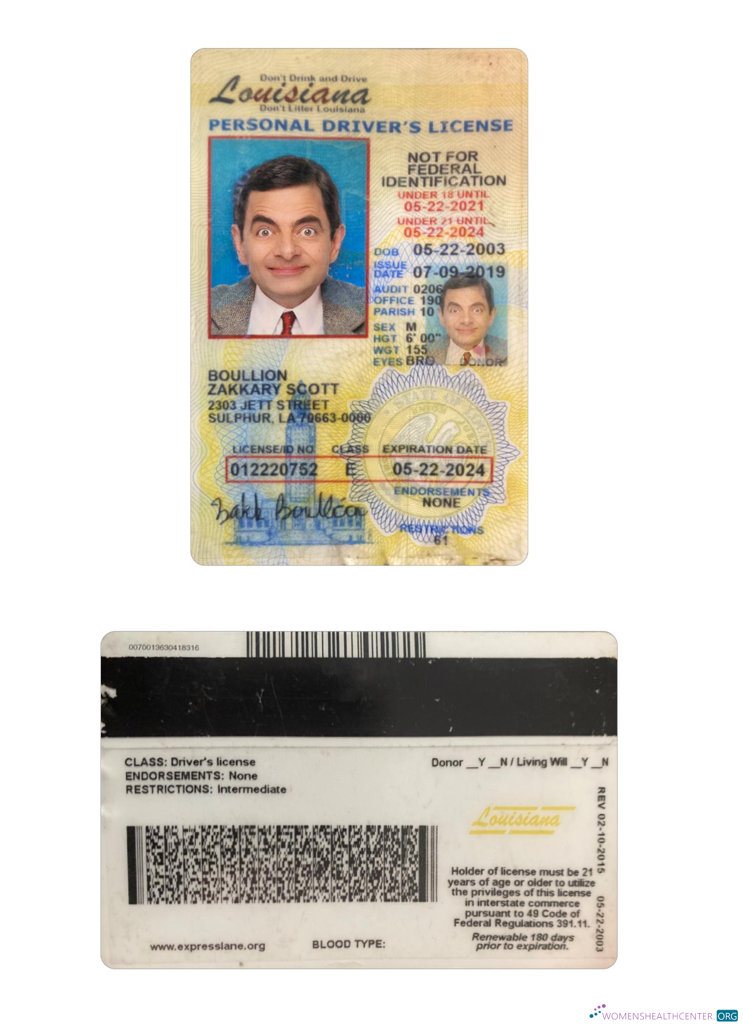 download USA Louisiana under 21 driving license